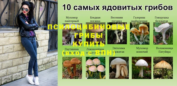 гидра Бутурлиновка