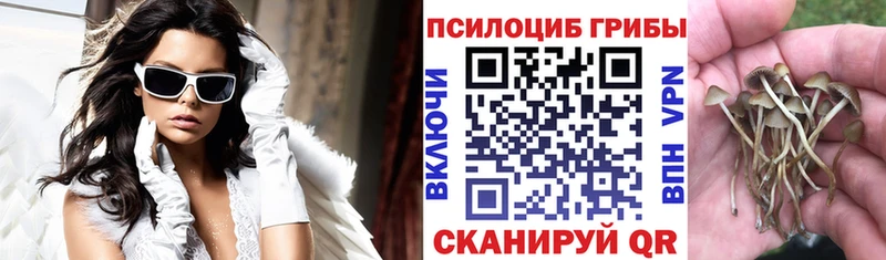 hydra   Заречный  Галлюциногенные грибы прущие грибы  купить  сайты 
